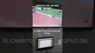 NYSOS PUPILO DE BOB BAFFERT [upl. by Marela]