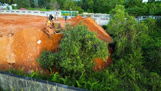 Excellent Skills Bulldozer Operator For Land Filling Clearing and Burying Trees With 5T Truck Team [upl. by Yerroc]