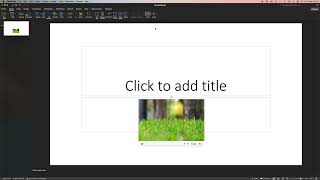 How To Insert Video in PowerPoint 2024  Quick Fix [upl. by Aerdnad329]