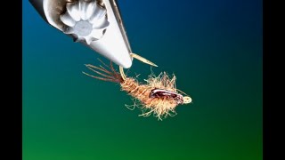 Fly Tying a March Brown nymph with Barry Ord Clarke [upl. by Eeral]