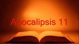 APOCALIPSIS completo Biblia hablada RV 1960 [upl. by Pussej]