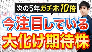 【次の5年ガチホ】株価10倍を狙えるテーマの見つけ方 [upl. by Anrapa]