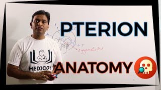 ANAHNB016 Pterion  Anatomy  Dr Prashant Sharma [upl. by Ogait]