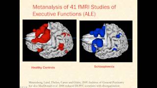 Brain Networks in Schizophrenia and Bipolar Disorder Targets for Novel Therapies [upl. by Laurene]