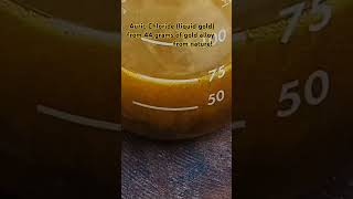 Auric Chloride liquid gold Dissolved 44 gram natural gold alloy diy gold goldrecovery forfun [upl. by Ahsoek]