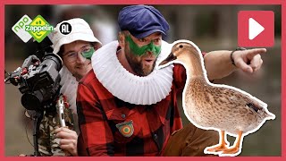 ZO BIJZONDER ZIJN EENDEN 🦆  Beestenbrigade Stadsdieren  NPO Zappelin [upl. by Vivyan]