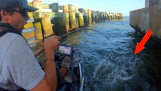 Kayak Bridge Fishing QUALITY Fish Inshore Fishing North Carolina [upl. by Eido]