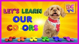 Learn Colors With Lizzy the Dog  Educational Video for Kids by Brain Candy TV [upl. by Missak]