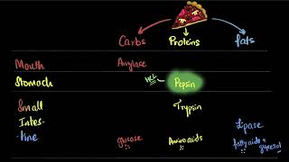 Introducing Divs and controlling them with classes and ids [upl. by Aimal]