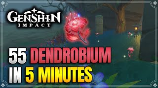 Dendrobium Locations  Fast and Efficient Route  Chiori Ascension Materials 【Genshin Impact】 [upl. by Offen]