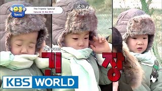 The Return of Superman  The Triplets Special Ep18 ENGCHN20170908 [upl. by Daegal]