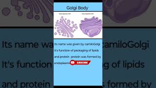 Golgi Apparatus  Golgi body  cell  cell theory  short video [upl. by Brok851]