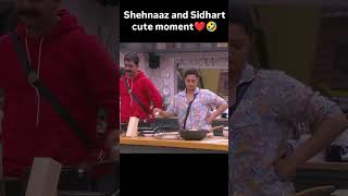 sidnaaz sidharthshukla sehnaazgill biggboss13 viralvideo shorts public [upl. by Romeu121]