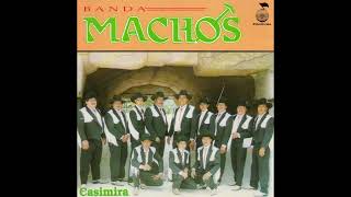 Banda Machos  Traficantes Michoacanos [upl. by Nilved]