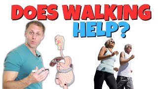 Does Walking Really Relieve Digestive Symptoms [upl. by Toby430]