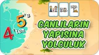 Canlıların Yapısına Yolculuk 📗 4ten 5e Hazırlık Kampı 2024 [upl. by Tallbot]