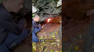 NExplorez Jamais Des Grottes Comme CelleCi 😲 [upl. by Pickett]