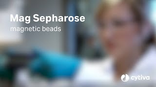 Mag Sepharose™ magnetic beads Overview and demo [upl. by Ena]