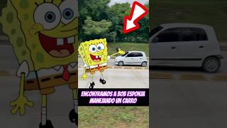 Encontramos a Bob esponja manejando un carro 😱😱 [upl. by Iahk]