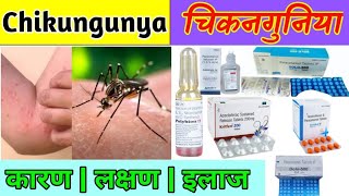 What So Interesting About Chikunguniya  चिकनगुनिया  Chikungunya  Medicine  Treatment [upl. by Lebyram]