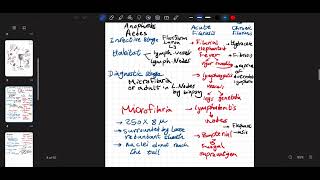 parasitology  shistosoma amp wbancrofti amp malaria [upl. by Nehpets]