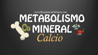 Metabolismo del Calcio  Bioquímica de Pastor [upl. by Maris397]