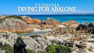 Abalone Diving in Tasmania  CATCH AND COOK [upl. by Nashbar327]