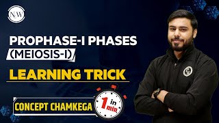 ConceptChamkega  Trick to learn Prophase  1 Phase Meiosis1  Biology  Physics Wallah Shorts [upl. by Aitnahc]