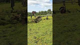 Fendt 720 Vario and Claas Volto 1300 grass tedding 300823 fendt [upl. by Bordiuk170]