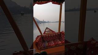 Shikara ride at Dal Lake  Kashmir shorts kashmir [upl. by Anelah669]