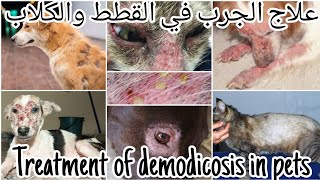 علاج الجرب في القطط والكلاب وانواعه Treatment of demodicosis in dogs amp cats [upl. by Werdnael596]