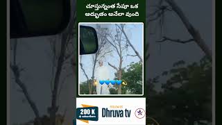 చూస్తున్నంత సేపూ ఒక అద్భుతం అనేలా వుంది  Dhruva tv [upl. by Mozelle]