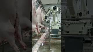 Pig Factory meat factory foodlovers foodblogger foodgasm fooddelivery shorts ytshorts [upl. by Sergias]