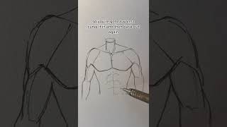 How to draw torso  Jmarron [upl. by Wilkison]