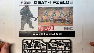 Let’s Look at Wargames Atlantic Einherjar  Plastic Miniature Review [upl. by Franciskus983]