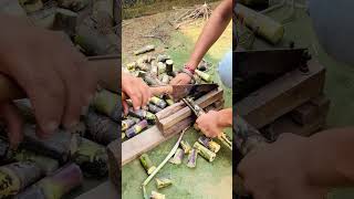 know how to do sugarcane seed cutting sugarcanecrop cutting [upl. by Yevad]