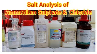 Salt Analysis of Ammonium Sulphate amp Chloride saltanalysis [upl. by Aiekat]