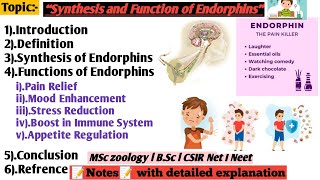 Synthesis and function of Endorphins  Synthesis of Endorphins  function of Endorphins [upl. by Rind]