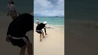 Compré un Objeto que Detecta Objetos en la Playa 🏝️ [upl. by Yerrot]