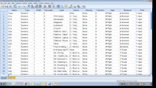 SPSS Codebook [upl. by Glennis978]