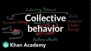 Aspects of Collective Behavior Fads Mass Hysteria and Riots  Behavior  MCAT  Khan Academy [upl. by Iluj]