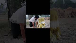 Mathu Ki Baraat  Part 2  shorts trending viralvideo mathukibaarat song shortsfeed [upl. by Ahsinav]