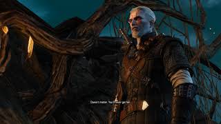 Witcher 3 Geralt vs Imlerith 4K 60fps [upl. by Namhcan840]