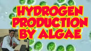 HYDROGEN PRODUCING ALGAE  TAMIL EXPLANATION  பாசிகளால் ஹைட்ரஜன் உற்பத்தி [upl. by Vowel]