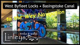 Basingstoke Canal • West Byfleet • Wey Navigation [upl. by Marinna]