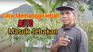 CARA MEMANGGIL LEBAH SUPAYA MASUK PERANGKAPJebakan PART I [upl. by Mourant]