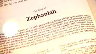 The Holy Bible  Zephaniah Chapter 1 ESV [upl. by Susejedairam534]