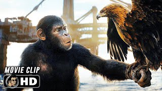 Eagle Hunt Scene  KINGDOM OF THE PLANET OF THE APES 2024 Movie CLIP HD [upl. by Chiquita]