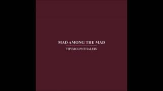 Thymolphthalein ‎– Mad Among The Mad CD 2015 IMM002 [upl. by Holihs351]