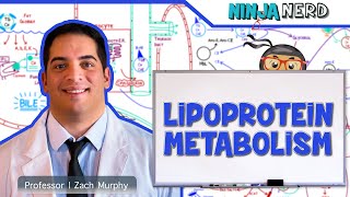 Metabolism  Lipoprotein Metabolism  Chylomicrons VLDL IDL LDL amp HDL [upl. by Snashall]